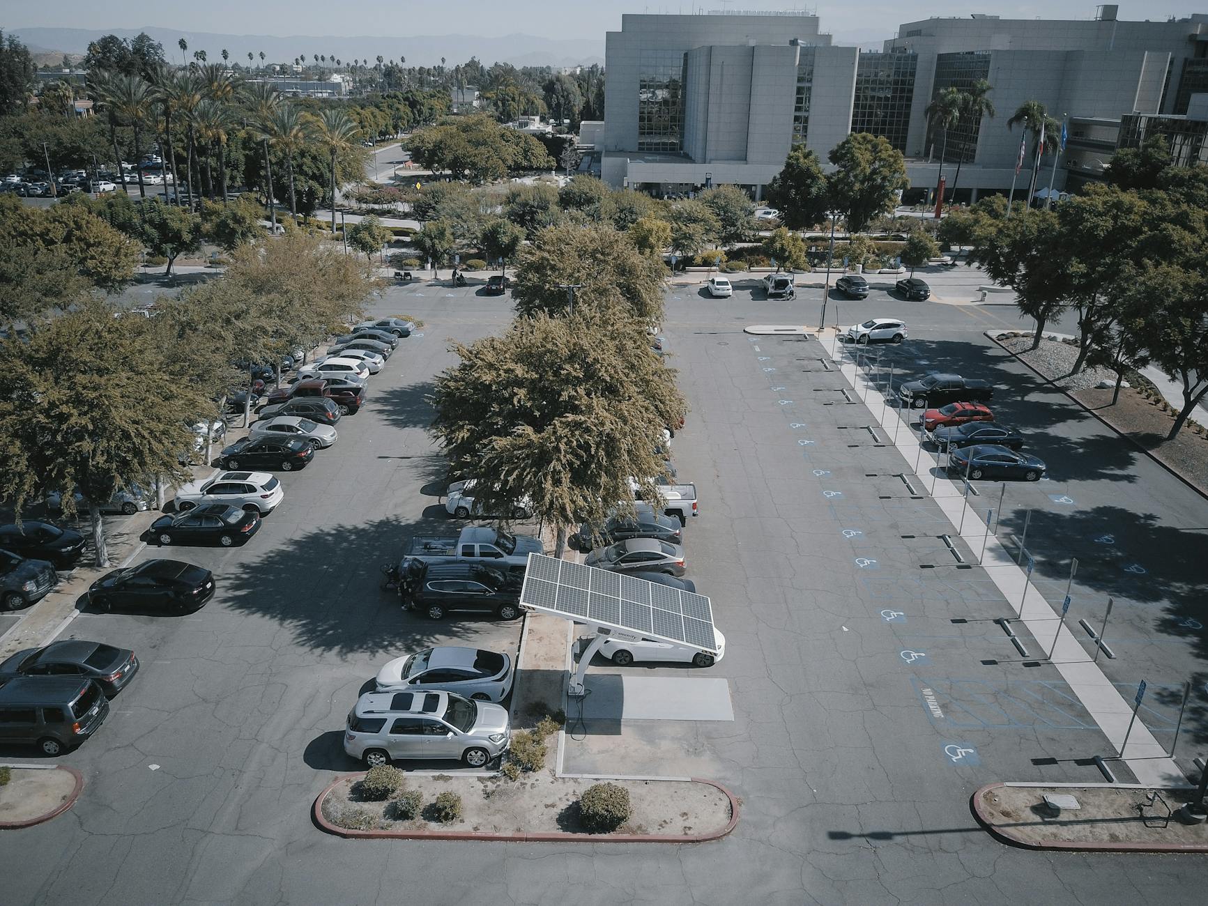 cars parked on parking lot with trees